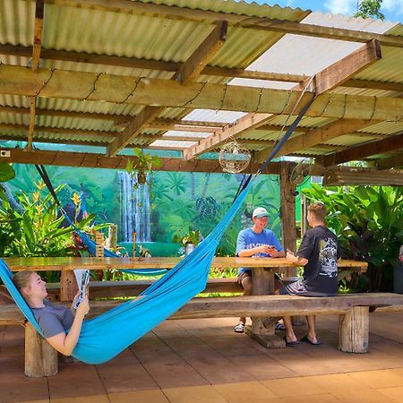 On The Wallaby Eco Lodge Yungaburra Exterior photo