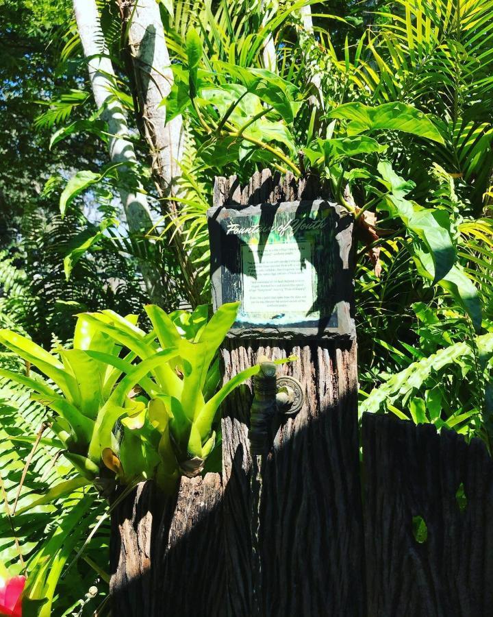On The Wallaby Eco Lodge Yungaburra Exterior photo