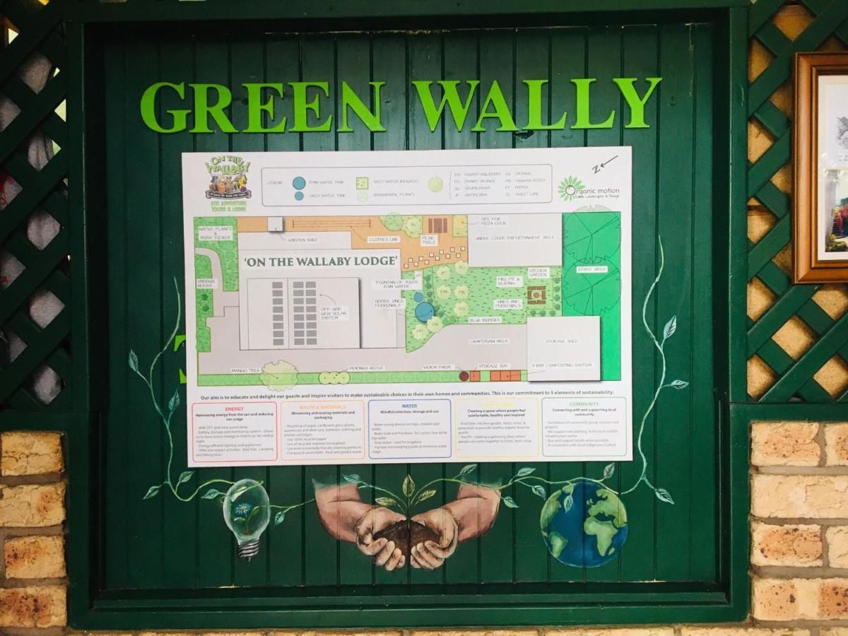On The Wallaby Eco Lodge Yungaburra Exterior photo