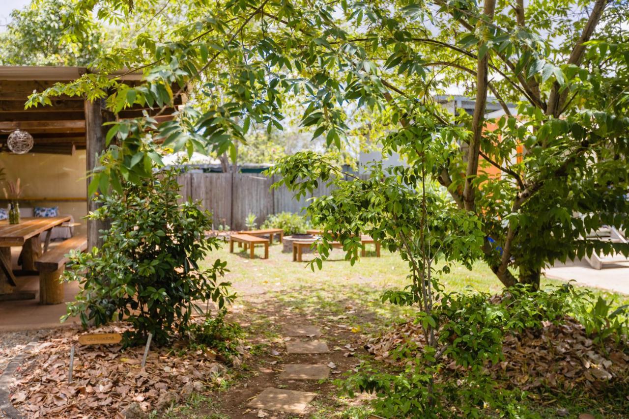 On The Wallaby Eco Lodge Yungaburra Exterior photo