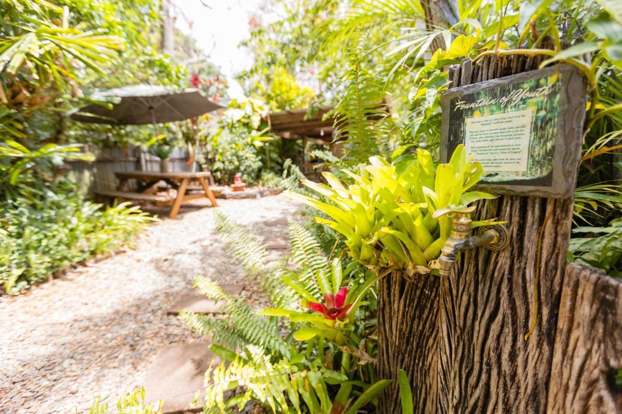 On The Wallaby Eco Lodge Yungaburra Exterior photo