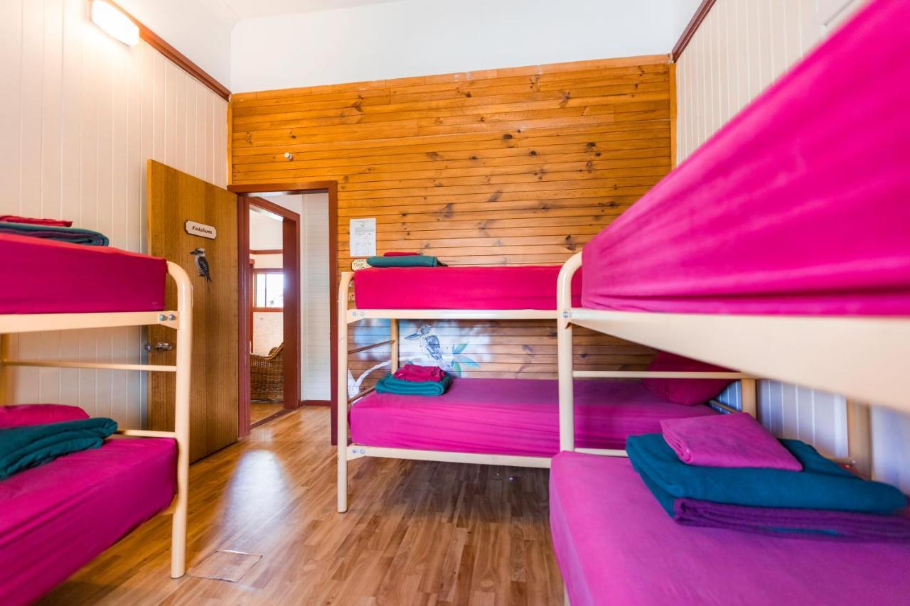 On The Wallaby Eco Lodge Yungaburra Exterior photo